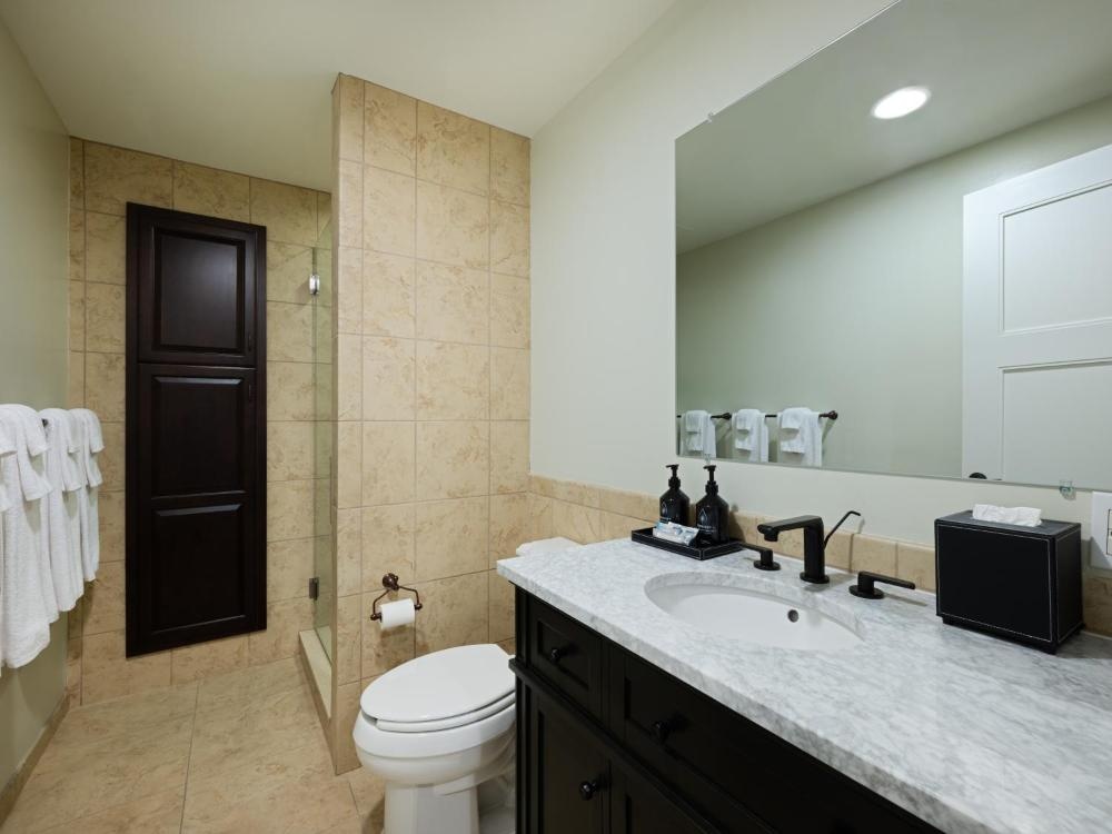 Hotel Indigo Asheville Downtown by IHG Image 84
